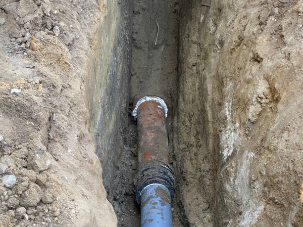 Best Flood restoration services  in Waverly, VA