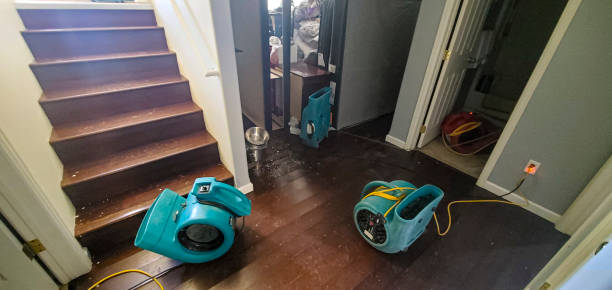 Best Commercial water damage restoration  in Waverly, VA