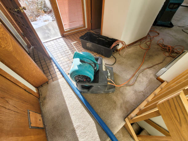 Best Carpet water damage restoration  in Waverly, VA