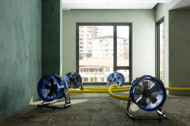Best 24/7 water damage repair  in Waverly, VA